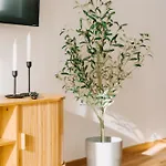 Mia Mit Bayerns Charme Und Privater Sauna Apartmán Kemnath